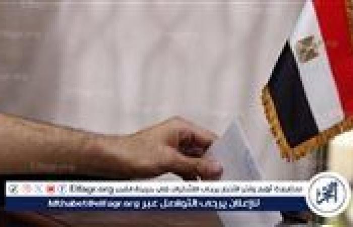 عاجل| مشاركة ملحوظة للمصريين في أثينا رغم تزامن التصويت مع يوم العمل الرسمي