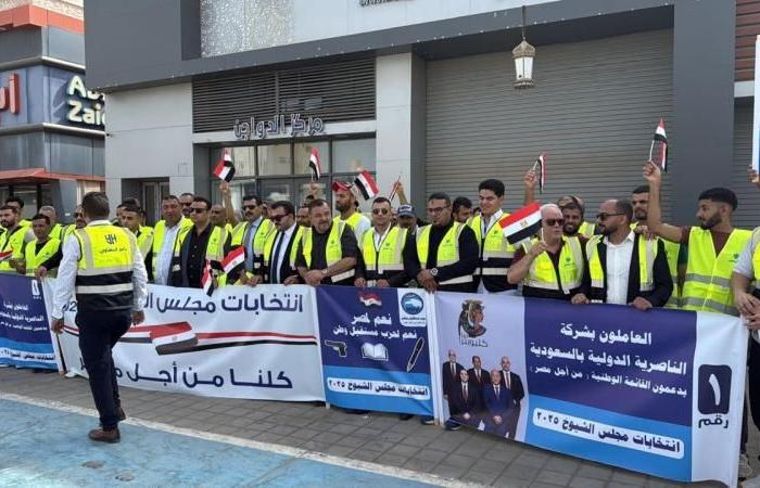 غلق باب التصويت بانتخابات الشيوخ فى سفارات مصر بمسقط والنمسا والمجر