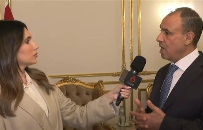 وزير الخارجية: الدولة تضع مصالح المصريين بالخارج على رأس أولوياتها