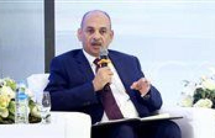 هيئة الاستثمار : 85% من تأسيس الشركات في مصر يتم إلكترونيا