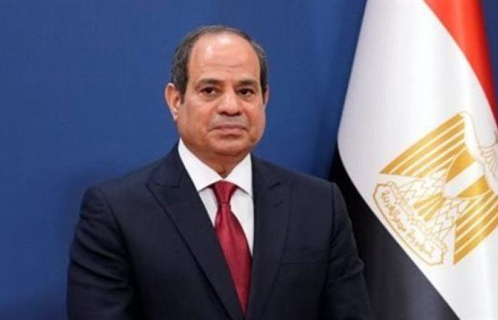 طارق فهمي: تصريحات الرئيس السيسي أفشلت محاولات التشويش على الدور المصري