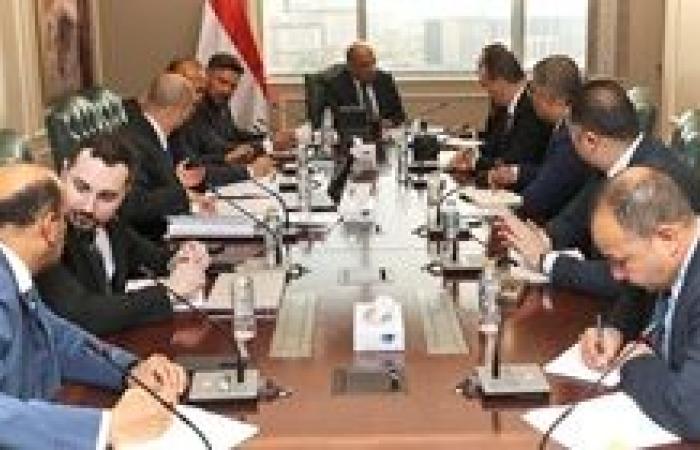 مفاعل الضبعة يقترب.. وتوجيهات رئاسية بتسريع التوطين والتشغيل