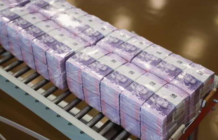 عمليتا توظيف مالي لفائض الخزينة