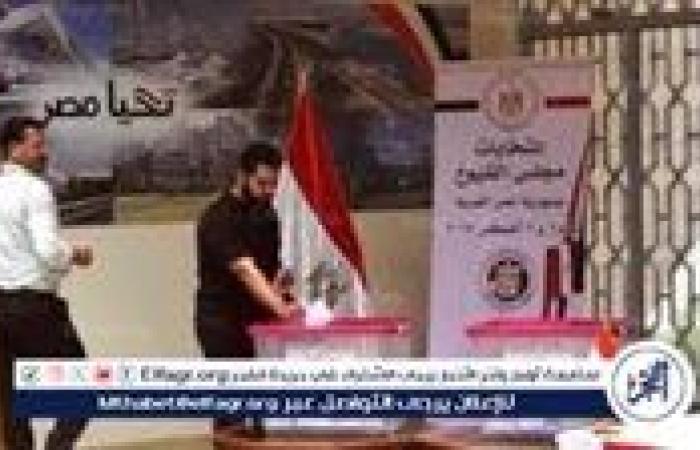 عاجل- أسماء الفائزين في انتخابات مجلس الشيوخ 2025 بالنظام الفردي وجولة الإعادة