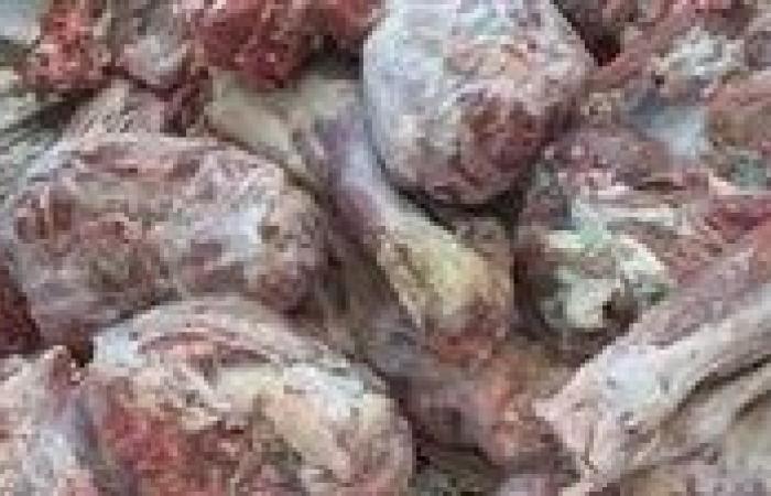 ضبط 429 كجما من اللحوم والمنتجات مجهولة المصدر في الغربية