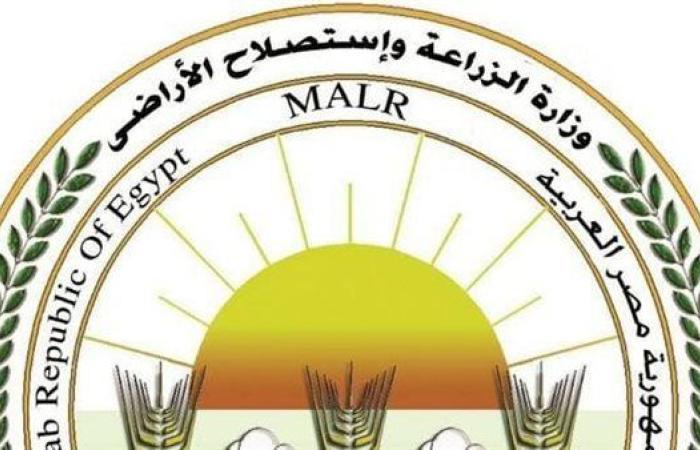 "الزراعة": إنتاج 2736 طنا من مساحيق المخلفات الحيوانية الناتجة عن الذبح