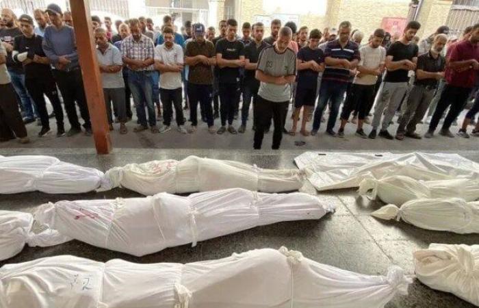 استشهاد 7 فلسطينيين جراء استهداف الاحتلال منتظري المساعدات شمال ووسط غزة
