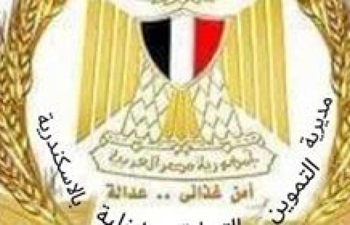 تموين الإسكندرية تضبط أدوات كهربائية ومستحضرات تجميل مجهولة المصدر