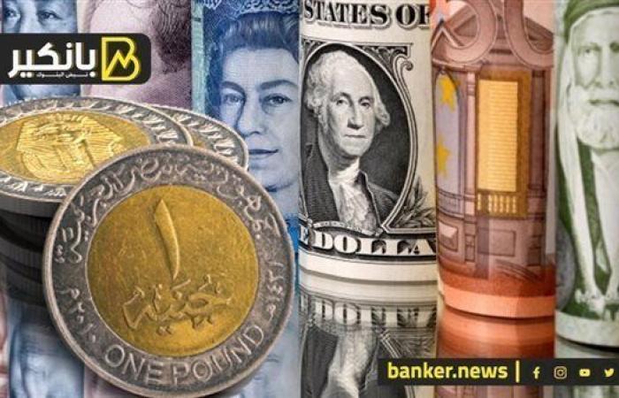 أسعار العملات الأجنبية أمام الجنيه اليوم السبت 30-8-2025 في البنك المركزي المصري
