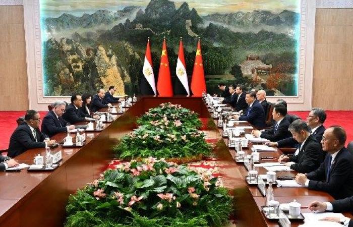 الرئيس الصيني يستقبل رئيس الوزراء بقصر الضيافة بمدينة "تيانجبن"