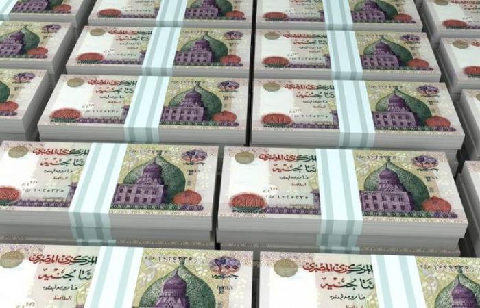الأفراد يستحوذون على 47.4% من ودائع البنوك المدرجة في البورصة بنهاية يونيو 2025