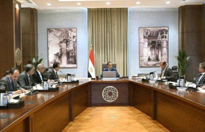 مصر.. رئيس الوزراء يُتابع الجهود المبذولة لطرح الفرص الاستثمارية المتاحة في قطاع الصحة