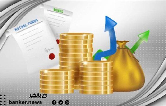 أعلى وديعة في البنوك المصرية.. أرباح 17 ألف جنيه كل أسبوع عند استثمار هذا المبلغ