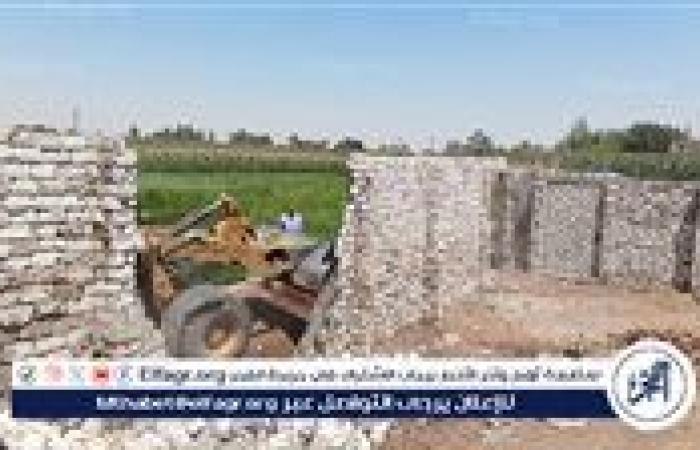 إزالة 33 حالة تعدي على الأراضي الزراعية وأملاك الدولة بأسيوط