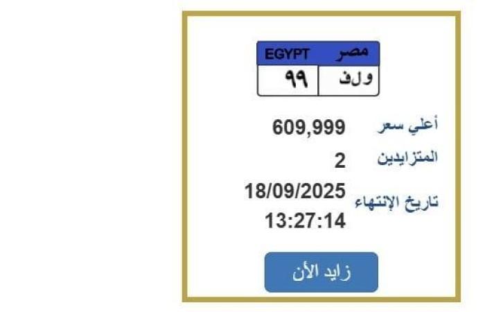 سعرها تخطى 600 ألف جنيه.. خطوات التزايد على لوحة سيارة مميزة