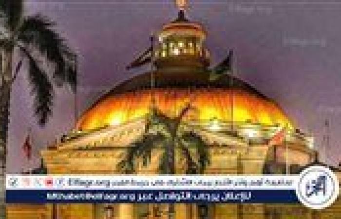 التعليم العالي: 4 ملايين طالب يستعدون لبدء العام الجامعي الجديد 2025/2026 في 132 جامعة و185 معهد عالي