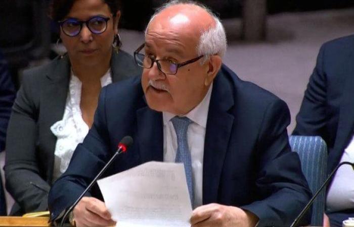 مندوب فلسطين: الاعتراف البريطاني والكندي والأسترالي بالدولة الفلسطينية خطوة عظيمة