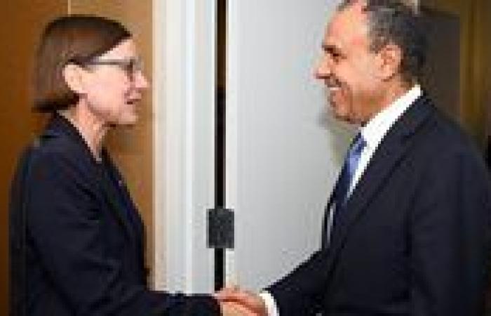 وزير الخارجية يستعرض جهود مصر لوقف الحرب في غزة 