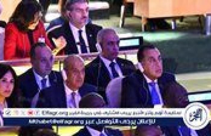 عاجل ـ رئيس الوزراء يشارك بالأمم المتحدة احتفالًا بالذكرى الـ30 لمؤتمر بكين العالمي للمرأة نيابة عن الرئيس السيسي
