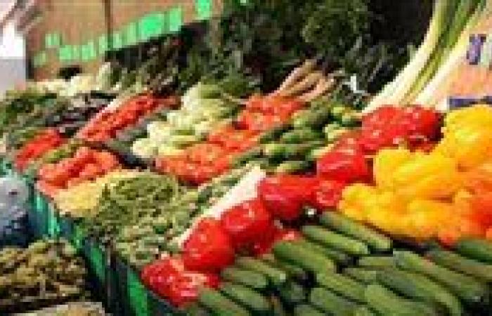 أسعار الخضروات اليوم الأربعاء في محافظة الغربية