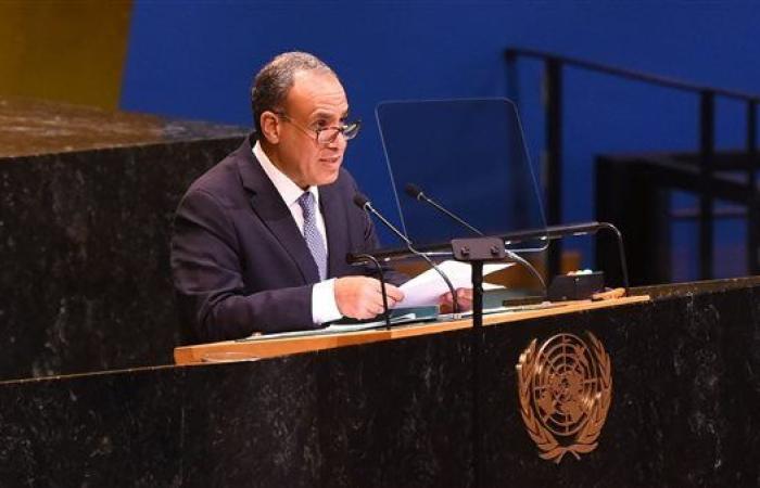 وزير الخارجية: مستعدون للاحتكام للقضاء بشأن سد النهضة ولن نتهاون في حقوقنا
