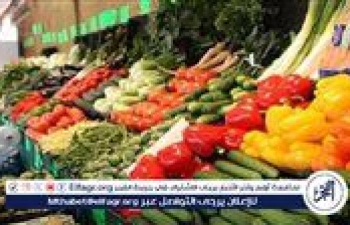 تراجع أم ثبات.. متوسط أسعار الخضراوات والفاكهة اليوم السبت 27 - 9 -2025