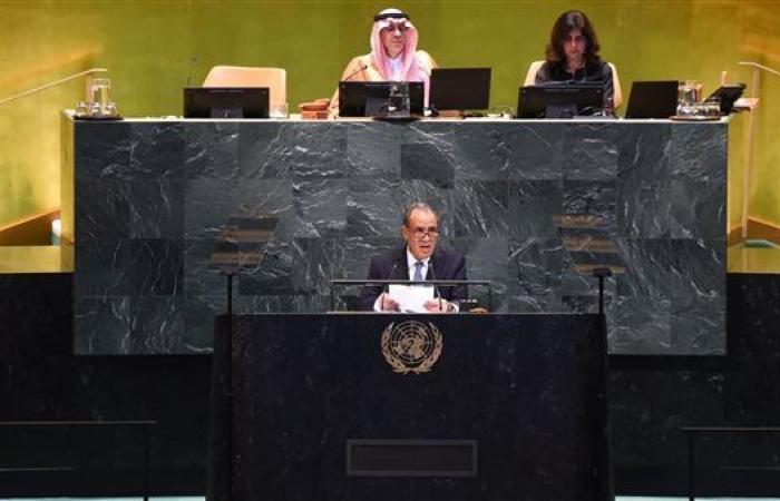 وزير الخارجية: مصر طرحت خطة متكاملة للتعافى المبكر وإعادة الإعمار فى غزة