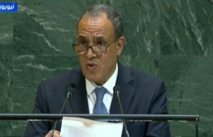 وزير الخارجية: ندعم الحفاظ على مؤسسات الدولة السودانية بما فيها الجيش