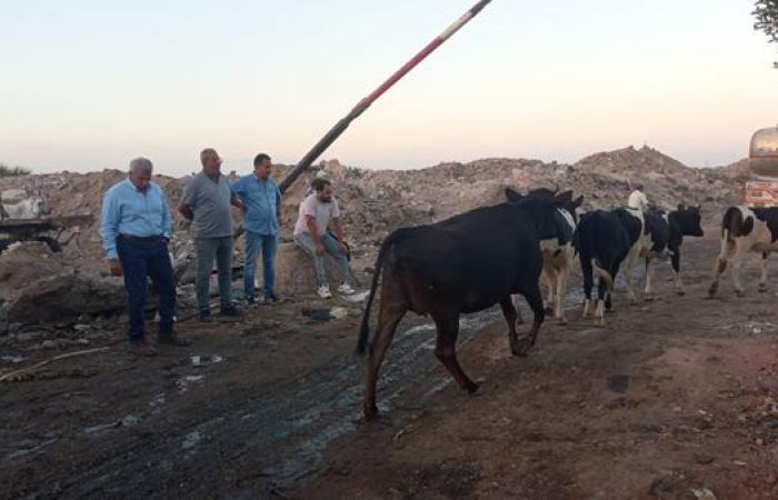 محافظ بورسعيد يشدد على تكثيف الحملات اليومية وعدم التهاون مع المخالفين
