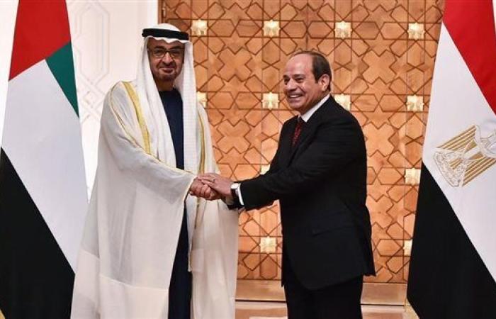 متحدث الرئاسة: زيارة الشيخ محمد بن زايد إلى مصر تأتي في إطار العلاقات الأخوية التاريخية