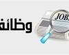 وظائف البنك المركزي المصري 2025.. اعرف الشروط والمستندات المطلوبة وطريقة التقديم