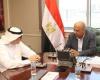 مصر تقترب من تحقيق 42% طاقات متجددة بحلول 2030 بدعم القطاع الخاص