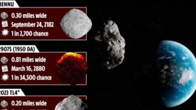 ناسا تعلن عن قائمة مرعبة للكويكبات المدمرة للأرض.. تحصد ملايين الضحايا