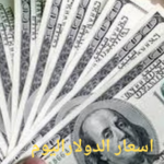 أحدث اسعار الدولاراليوم مقابل الدينار العراقي خلال تعاملات الأربعاء 9 أكتوبر 2024