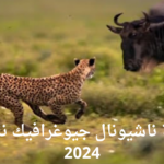 استقبل الآن.. تردد قناة ناشيونال جيوغرافيك 2024 على القمر الصناعي نايل سات وعرب سات