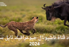 استقبل الآن.. تردد قناة ناشيونال جيوغرافيك 2024 على القمر الصناعي نايل سات وعرب سات