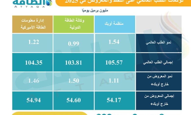 توقعات الطلب على النفط في 2025.. نظرة سلبية من المؤسسات الكبرى (تقرير)