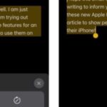 كيفية تلخيص النص وتنظيمه باستخدام أدوات الكتابة على iPhone.. فى 10 خطوات