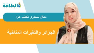 هكذا تواجه الجزائر تغير المناخ بوصفها قوة أفريقية متنامية (مقال)